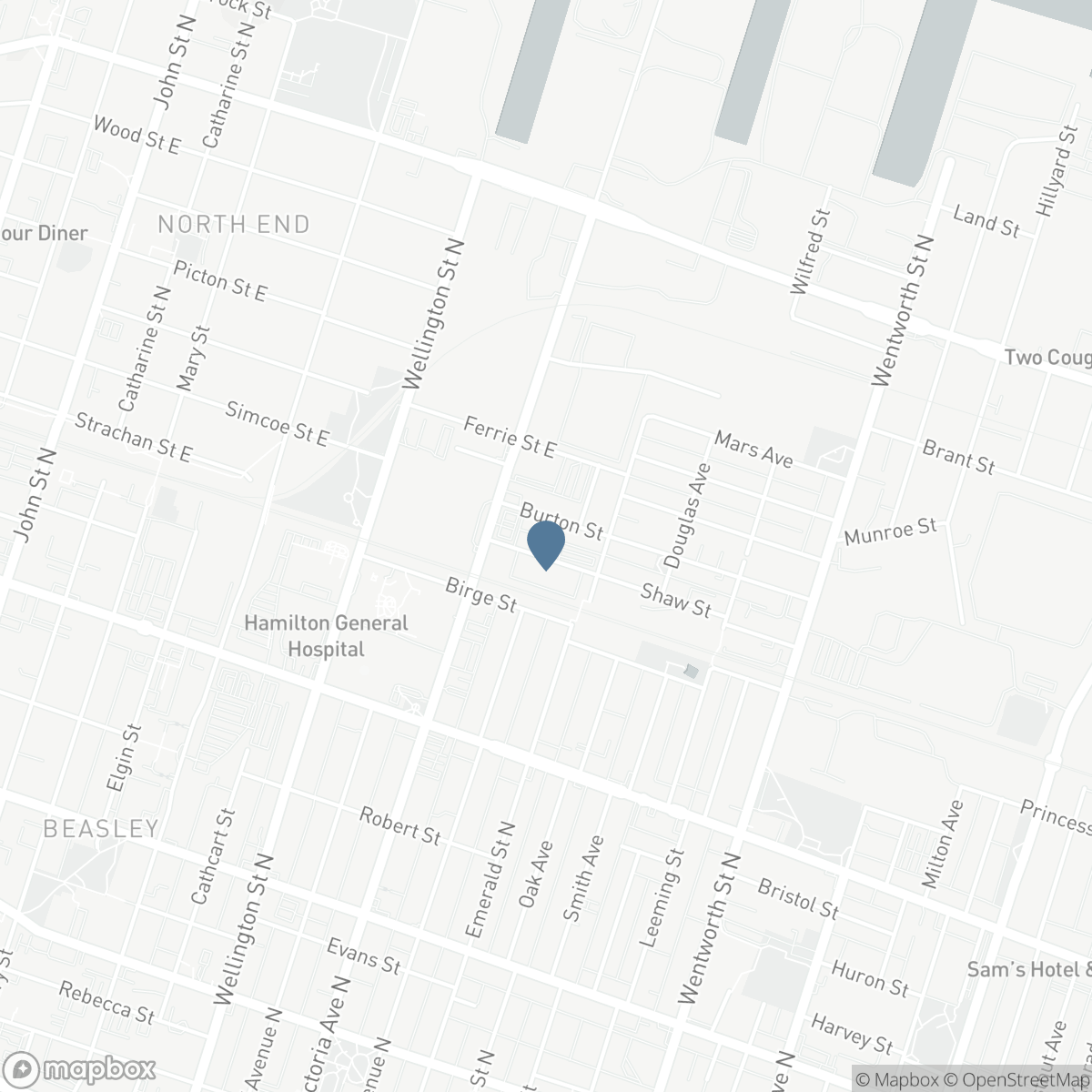 29 SHAW STREET, Hamilton, Ontario L8L 3P2